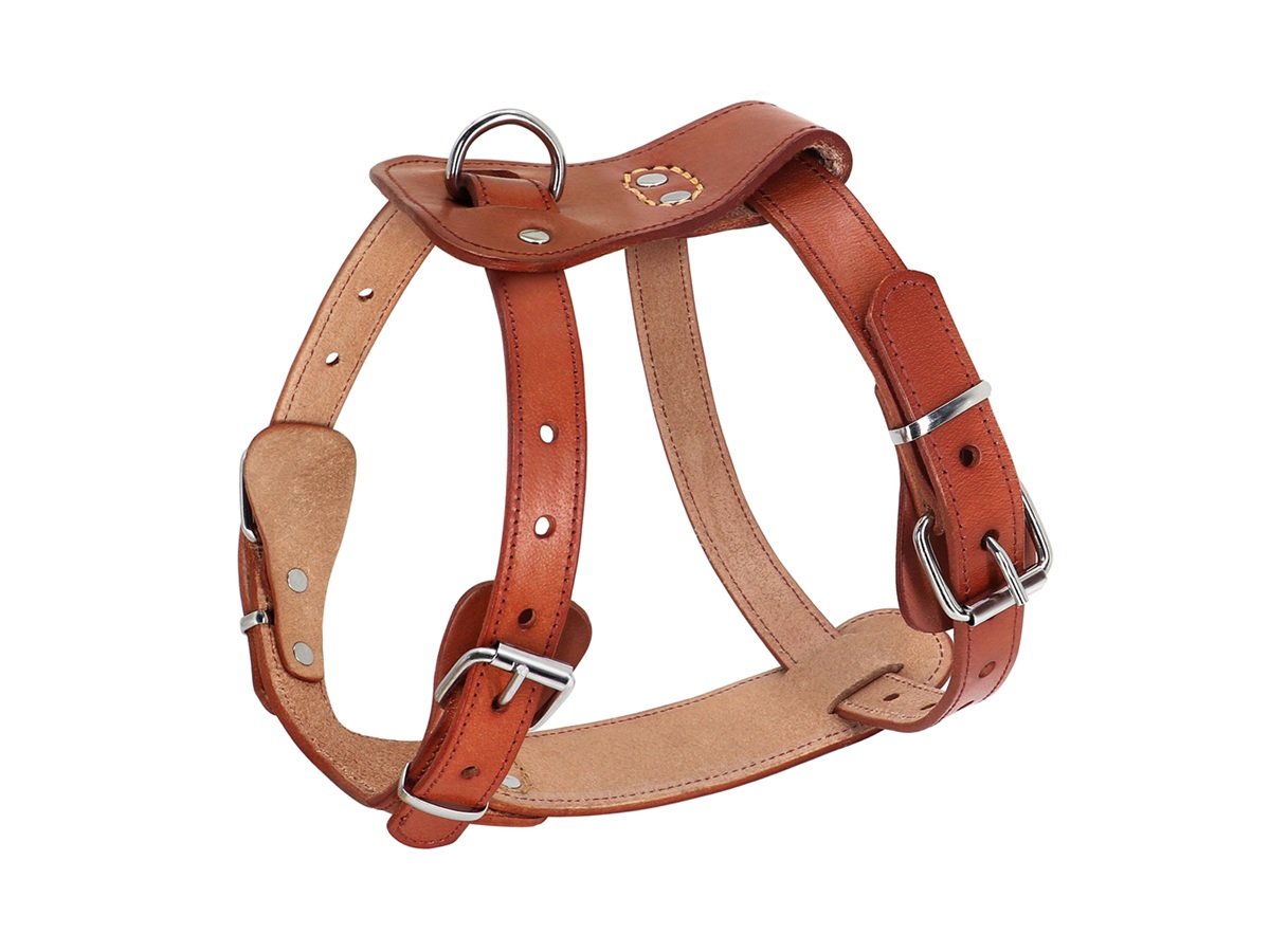 Leather dog harness manufacturer India