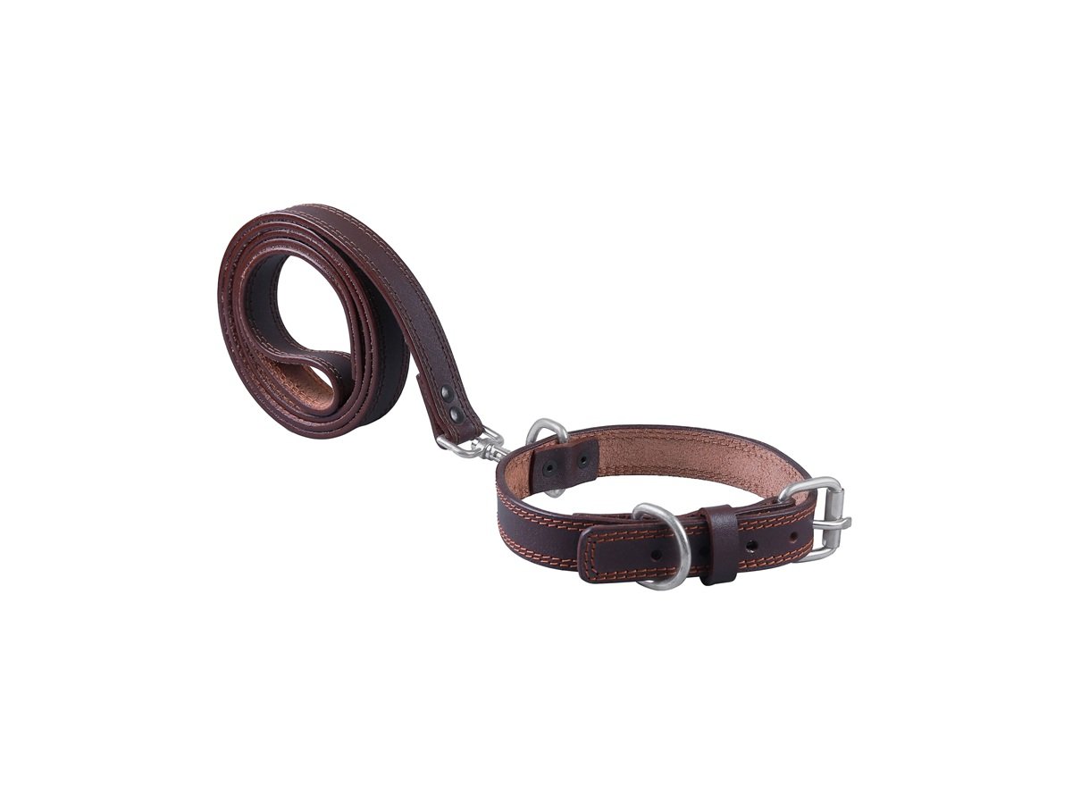 Leather dog collar harness and leash manufacturer India